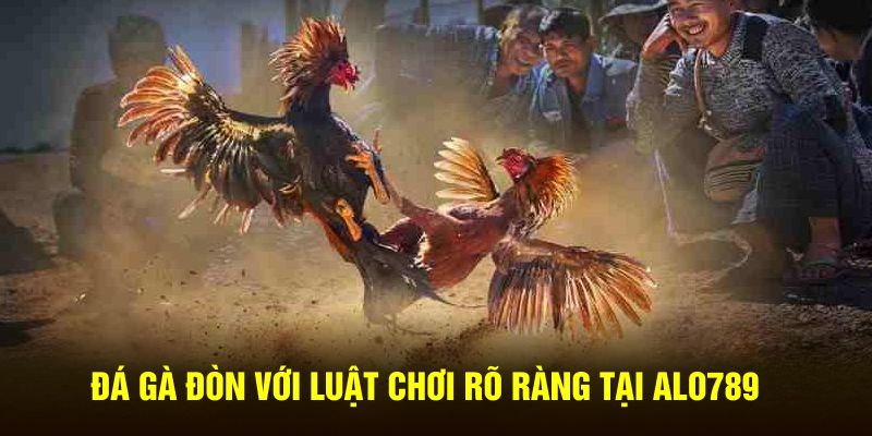 Đá gà đòn với luật chơi rõ ràng tại ALO789